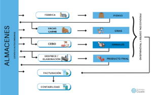 Gráfico de cómo vacas carne está integrado con las aplicaciones del software agroalimentario.